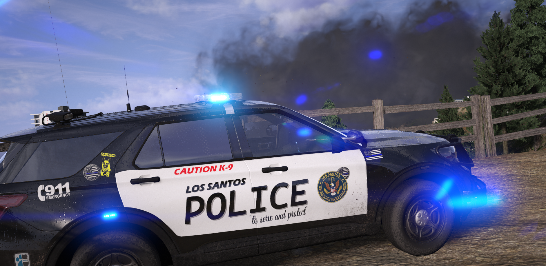 K9 Response to Active Scene